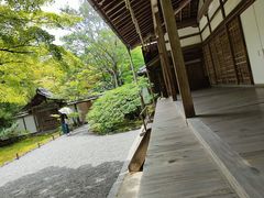 -西芳寺(苔寺)
