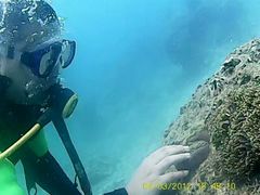 -班拉雅潜水度假村