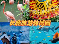 -长鹿旅游休博园