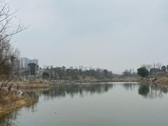 -桂溪生态公园