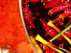 鸳鸯锅-小龙坎火锅(春熙太古里店)