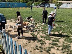 -趣玩宠物乐园寄养训犬训狗游泳池