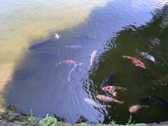 -水前寺成趣园