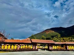 -林芝工布庄园希尔顿酒店-猎味中餐厅