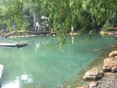 -大鹅岛绿色生态美食园
