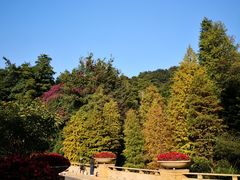 -云溪植物园