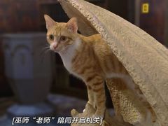 -逃脱反斗城沉浸剧情密室(北京路店)