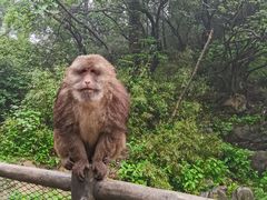 -峨眉山风景名胜区