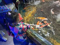 -太平洋海底世界