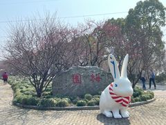 -上海海湾国家森林公园