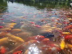 -泰安地下龙宫景区