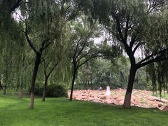 -秀水公园