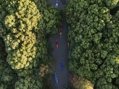 -动邦皮划艇·桨板·独木舟·团建户外运动俱乐部