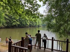 -青龙山国家森林公园