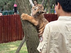 -西霞口神雕山野生动物世界
