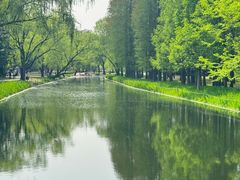 -上海共青森林公园