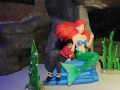 -海合安青岛极地海洋公园