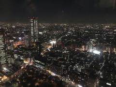 -东京都厅舍