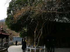 -皇藏峪国家森林公园