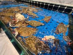 -川骄海鲜自助(河东店)