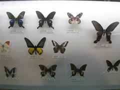 -吉林省自然博物馆