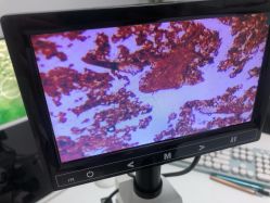 -痘博士天津·全国连锁祛痘机构