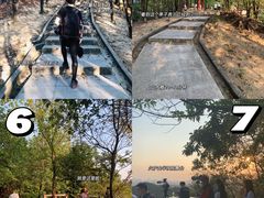 -火炉山森林公园