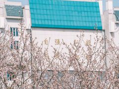 -武汉大学-樱园