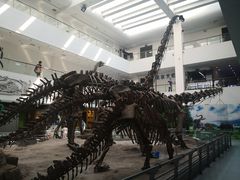 -中国地质大学逸夫博物馆