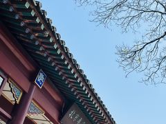 -北京鲁迅博物馆(北京新文化运动纪念馆鲁博馆区)
