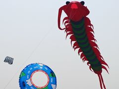 -潍坊滨海云门国际风筝放飞场