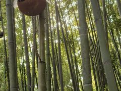 -泰山风景名胜区-普照寺