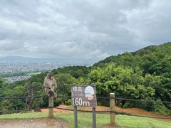 -岚山猴子公园