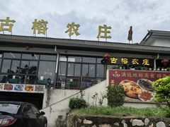 -古榕农庄·桑拿簸箕菜·招牌泥焗鸡(清远长隆店)