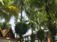 -东芭乐园