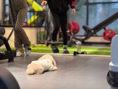 -FEELINGME乐刻私教馆·健身(沿海赛洛城店)