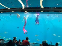 -瑞德姆美人鱼海底演艺主题餐厅(亚龙湾店)