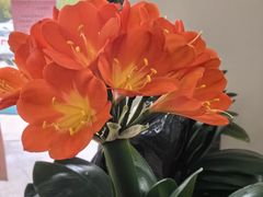 -新农家菜(浏河店)