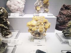 -湖南省地质博物馆