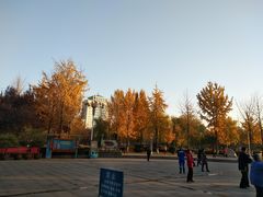 -西清公园
