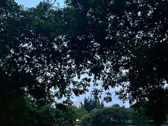 -荔枝公园(福田区)
