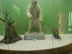 -国家自然博物馆