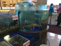 -欢乐海岸美食联盟