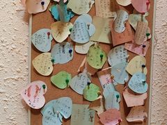 -绝城芋儿鸡(犀浦旗舰店)