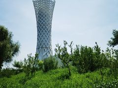 -上海滨江森林公园