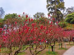 -桃花涧