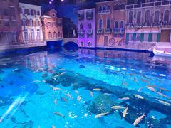 -华夏文旅海洋公园