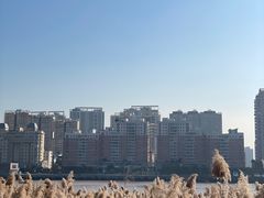 -江心屿景区