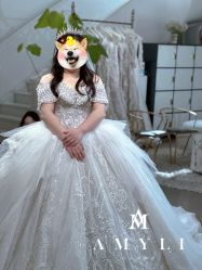 -艾米丽婚纱礼服