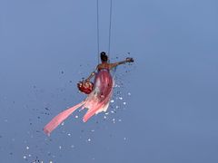 -武汉园博园(武汉自然博物馆)